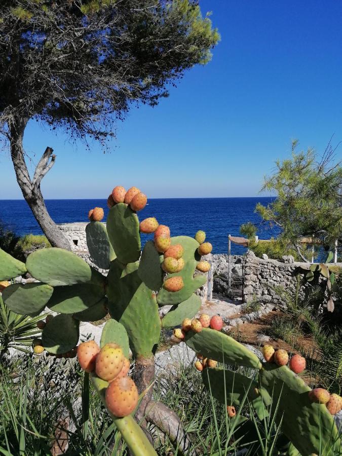 Villa Marigiosa Salento Marittima Exteriér fotografie