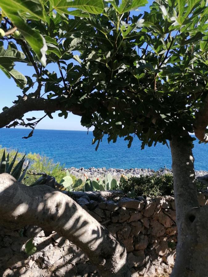 Villa Marigiosa Salento Marittima Exteriér fotografie